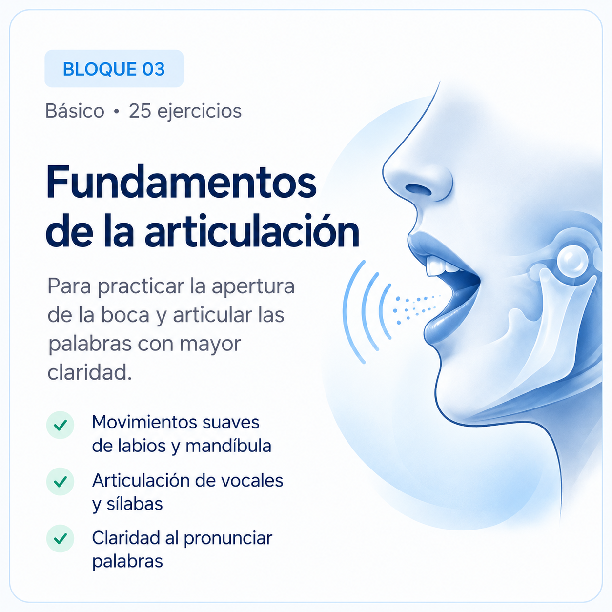 Fundamentos de la articulación